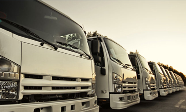 Dedicated fleet of trucks lined up at a distribution centre